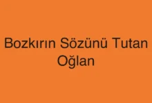 Bozkırın Sözünü Tutan Oğlan