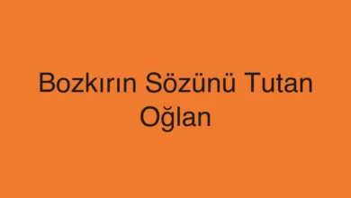 Bozkırın Sözünü Tutan Oğlan