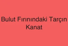Bulut Fırınındaki Tarçın Kanat