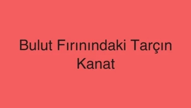 Bulut Fırınındaki Tarçın Kanat