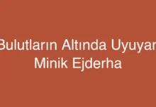 Bulutların Altında Uyuyan Minik Ejderha