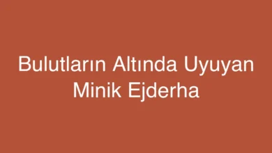 Bulutların Altında Uyuyan Minik Ejderha