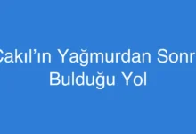 Çakıl’ın Yağmurdan Sonra Bulduğu Yol