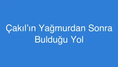 Çakıl’ın Yağmurdan Sonra Bulduğu Yol