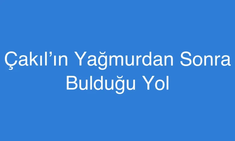 Çakıl’ın Yağmurdan Sonra Bulduğu Yol