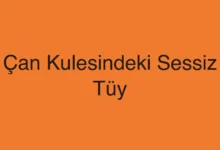 Çan Kulesindeki Sessiz Tüy
