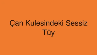 Çan Kulesindeki Sessiz Tüy