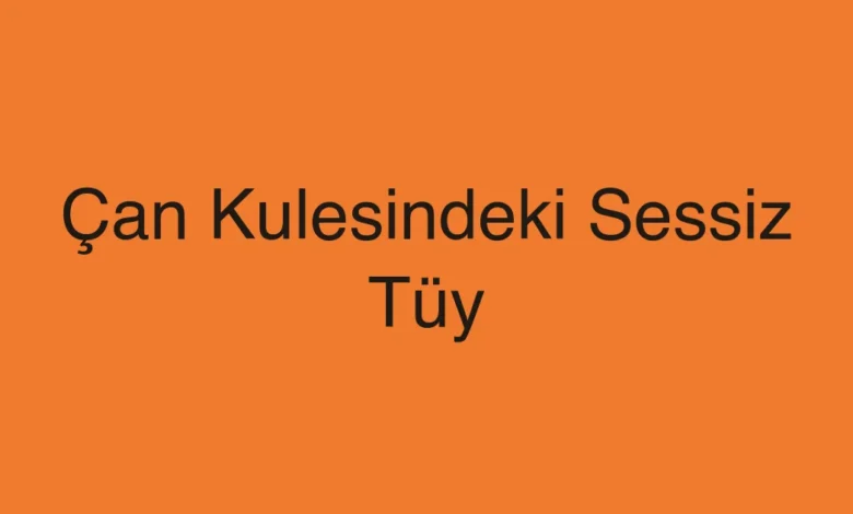 Çan Kulesindeki Sessiz Tüy