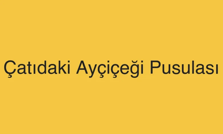 Çatıdaki Ayçiçeği Pusulası