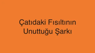 Çatıdaki Fısıltının Unuttuğu Şarkı