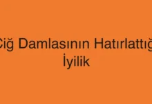 Çiğ Damlasının Hatırlattığı İyilik