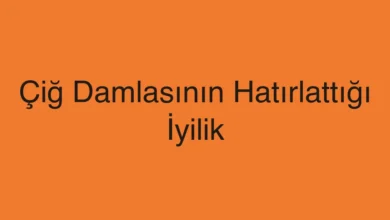 Çiğ Damlasının Hatırlattığı İyilik