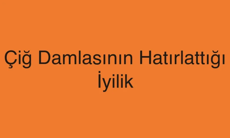 Çiğ Damlasının Hatırlattığı İyilik