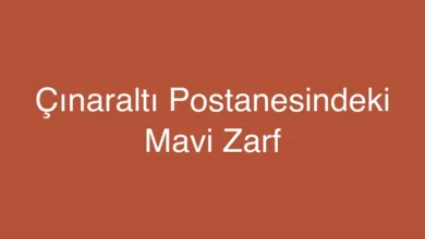 Çınaraltı Postanesindeki Mavi Zarf