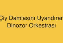 Çiy Damlasını Uyandıran Dinozor Orkestrası