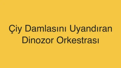 Çiy Damlasını Uyandıran Dinozor Orkestrası