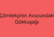 Çömlekçinin Avucundaki Gökkuşağı