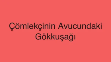 Çömlekçinin Avucundaki Gökkuşağı
