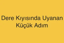 Dere Kıyısında Uyanan Küçük Adım
