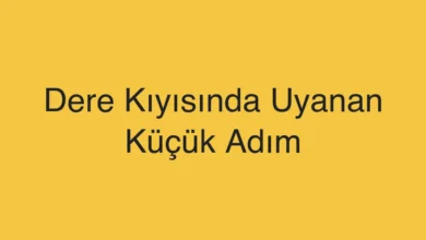 Dere Kıyısında Uyanan Küçük Adım