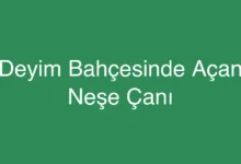 Deyim Bahçesinde Açan Neşe Çanı