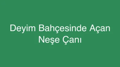 Deyim Bahçesinde Açan Neşe Çanı