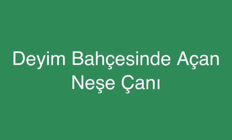 Deyim Bahçesinde Açan Neşe Çanı