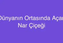 Dünyanın Ortasında Açan Nar Çiçeği