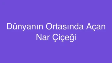 Dünyanın Ortasında Açan Nar Çiçeği