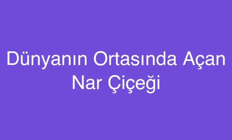 Dünyanın Ortasında Açan Nar Çiçeği