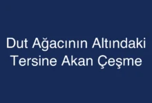 Dut Ağacının Altındaki Tersine Akan Çeşme