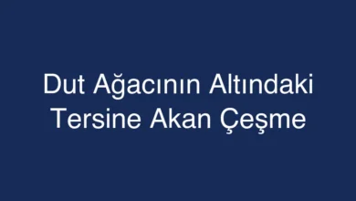 Dut Ağacının Altındaki Tersine Akan Çeşme