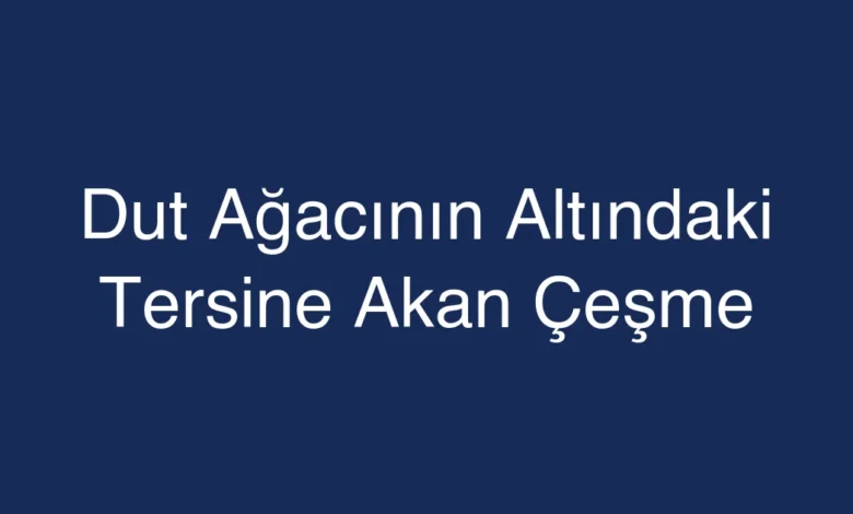 Dut Ağacının Altındaki Tersine Akan Çeşme