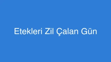 Etekleri Zil Çalan Gün