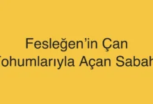 Fesleğen’in Çan Tohumlarıyla Açan Sabahı