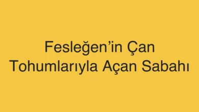 Fesleğen’in Çan Tohumlarıyla Açan Sabahı