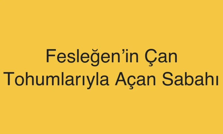 Fesleğen’in Çan Tohumlarıyla Açan Sabahı