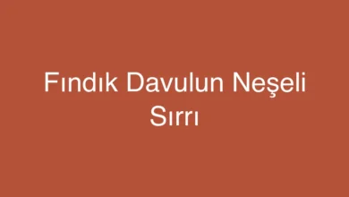 Fındık Davulun Neşeli Sırrı