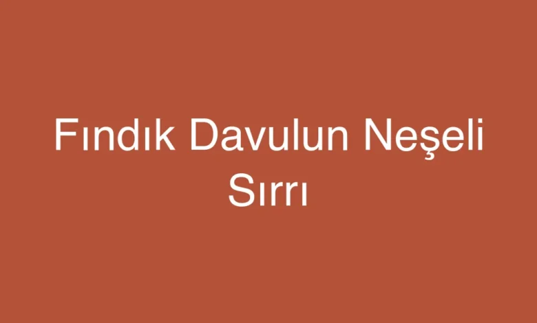 Fındık Davulun Neşeli Sırrı