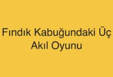 Fındık Kabuğundaki Üç Akıl Oyunu