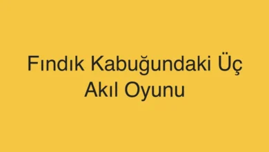Fındık Kabuğundaki Üç Akıl Oyunu