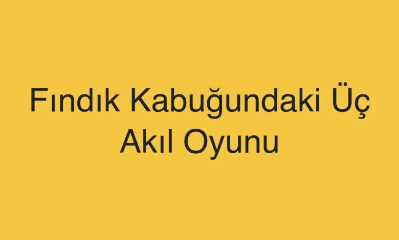 Fındık Kabuğundaki Üç Akıl Oyunu