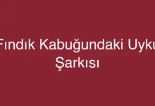 Fındık Kabuğundaki Uyku Şarkısı