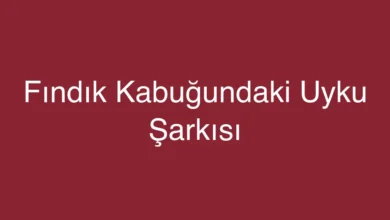 Fındık Kabuğundaki Uyku Şarkısı