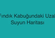 Fındık Kabuğundaki Uzak Suyun Haritası