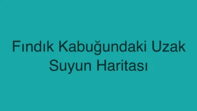 Fındık Kabuğundaki Uzak Suyun Haritası