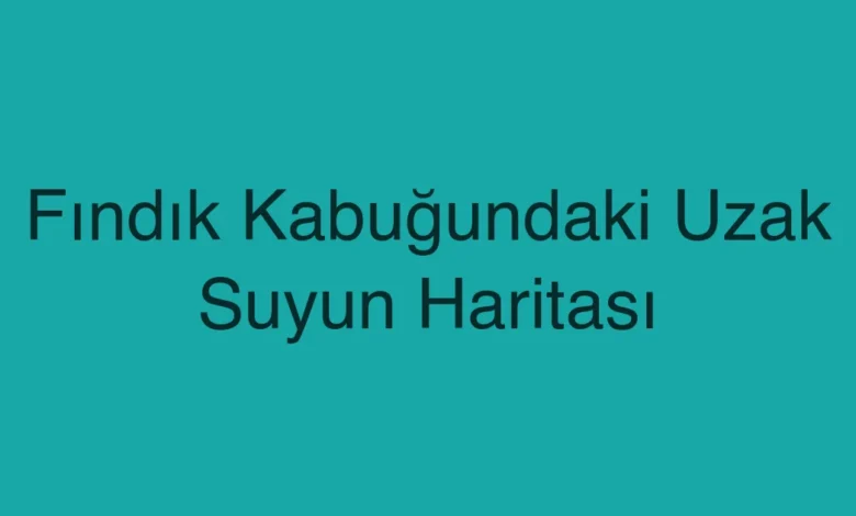 Fındık Kabuğundaki Uzak Suyun Haritası