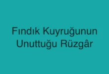 Fındık Kuyruğunun Unuttuğu Rüzgâr