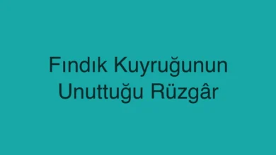 Fındık Kuyruğunun Unuttuğu Rüzgâr