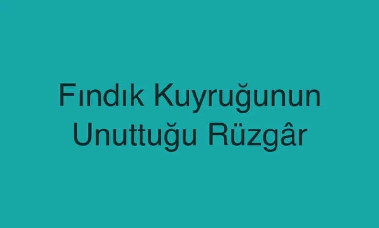Fındık Kuyruğunun Unuttuğu Rüzgâr